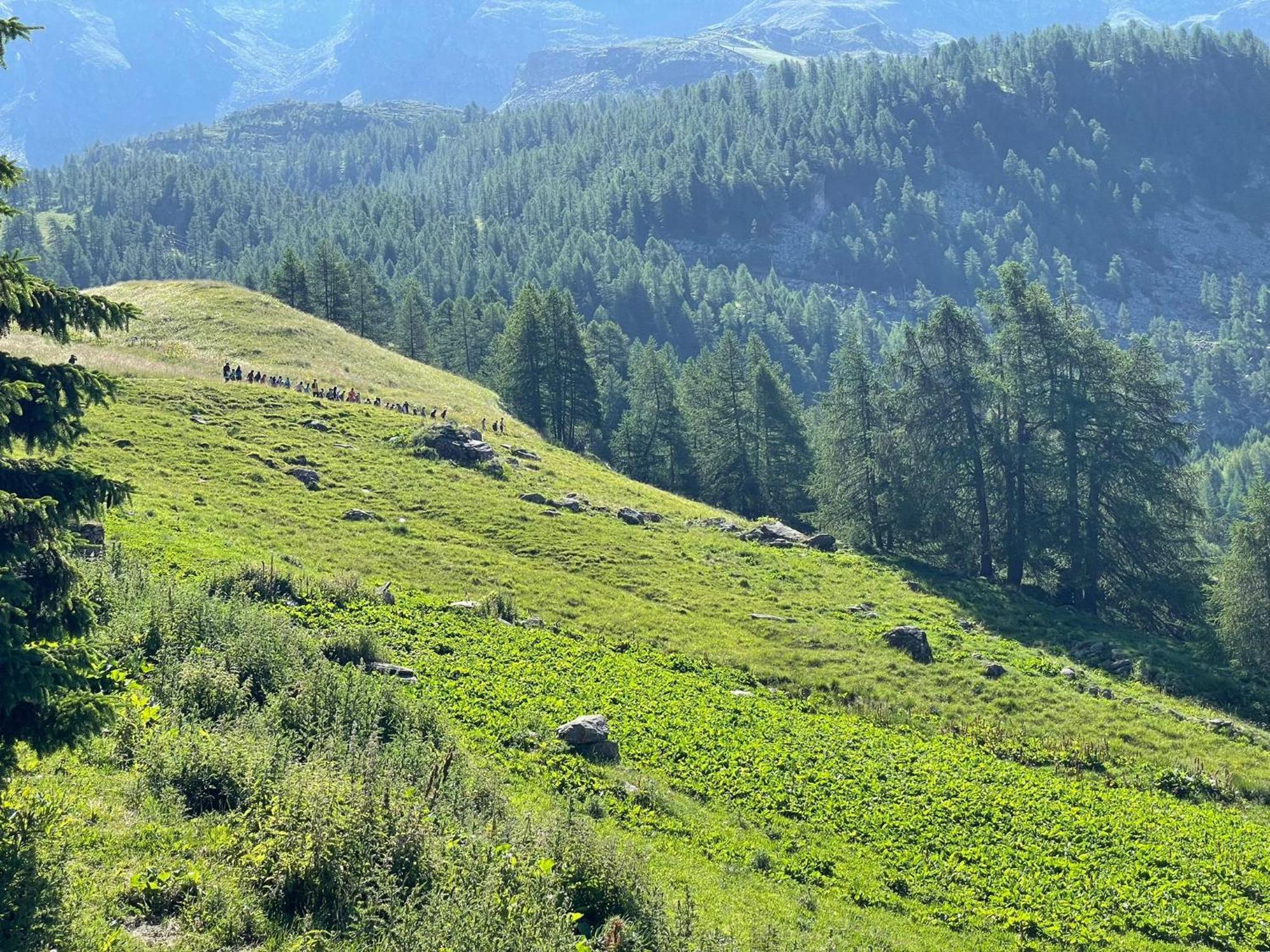 Rifugio Guide Frachey Hotel Saint Jacques Buitenkant foto