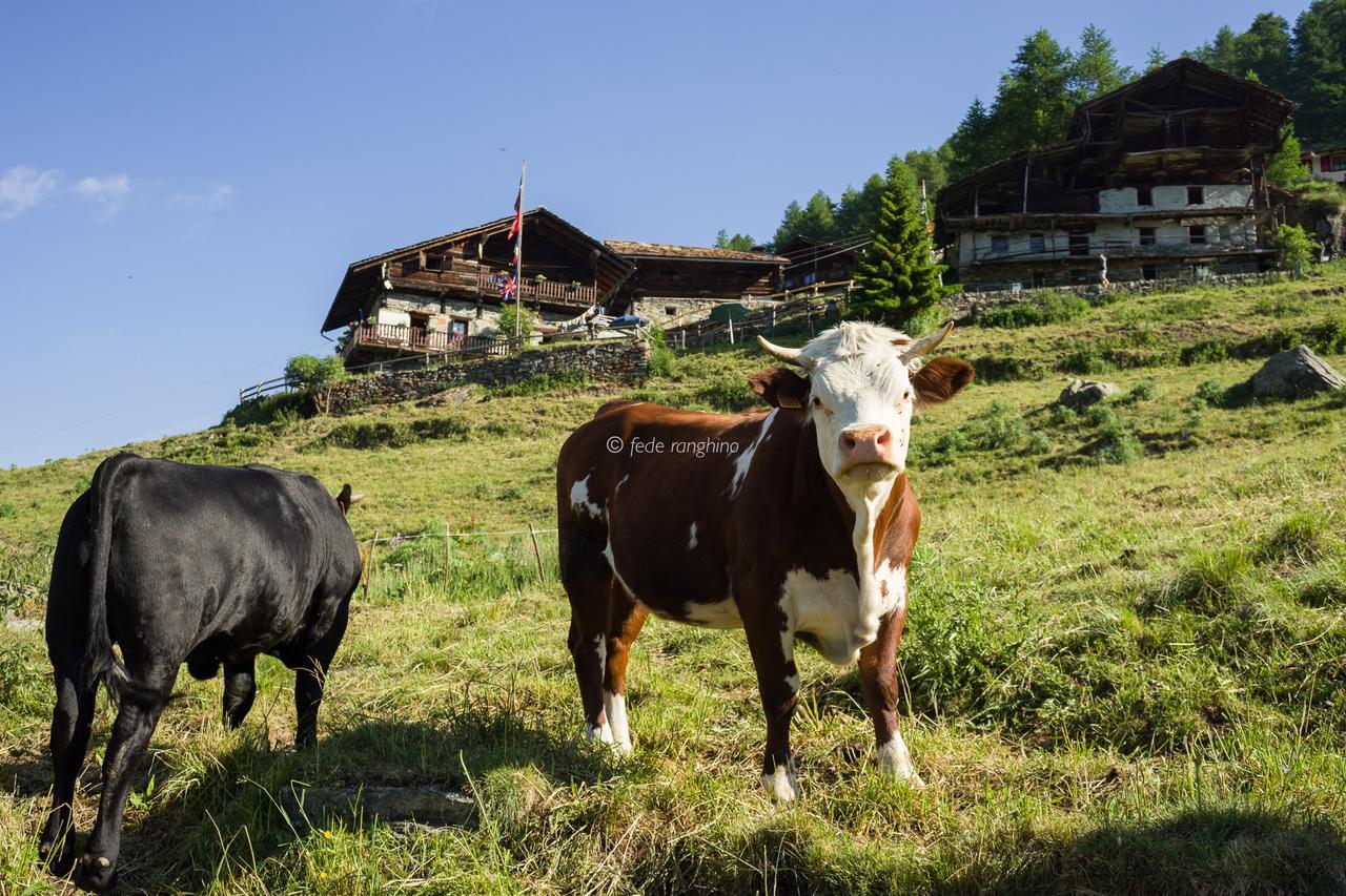 Rifugio Guide Frachey Hotel Saint Jacques Buitenkant foto